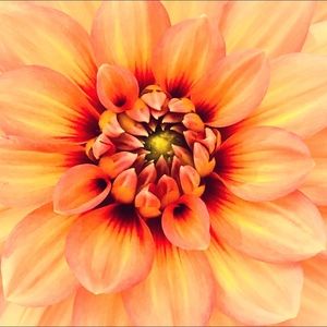 Meet your Posher, Jill